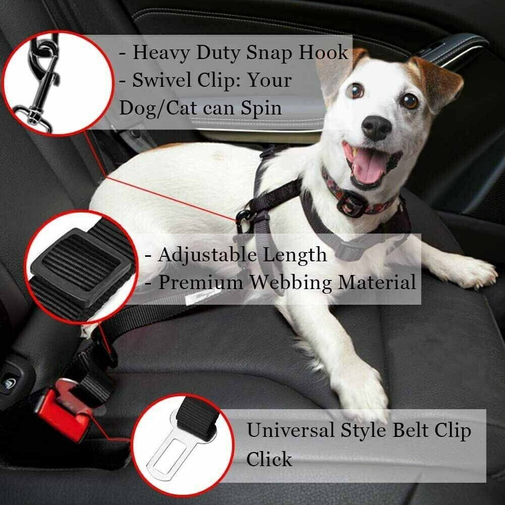 Car Safety Belt — 2 Pack