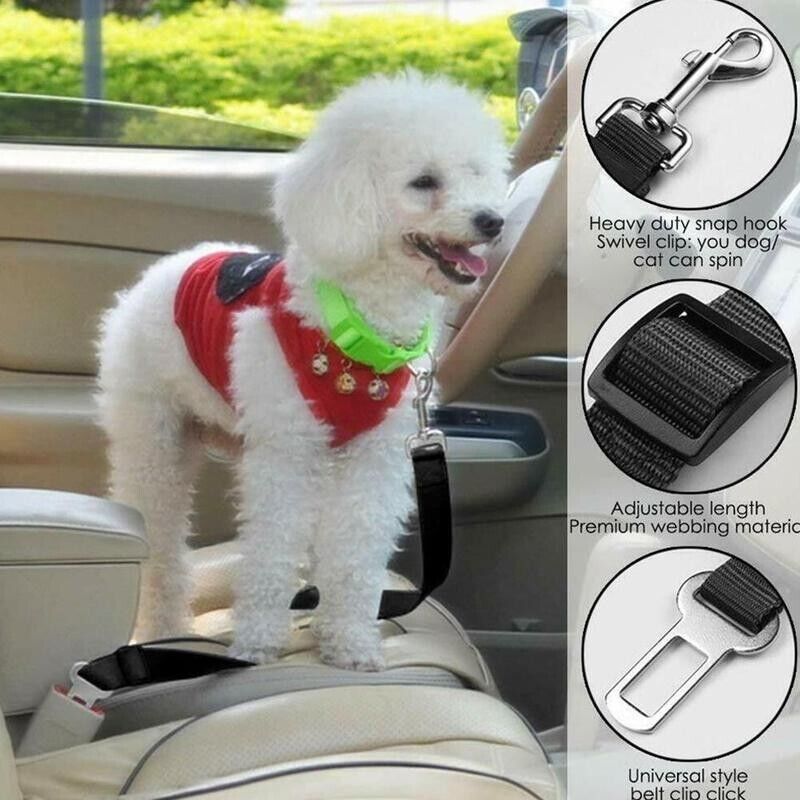 Car Safety Belt — 2 Pack