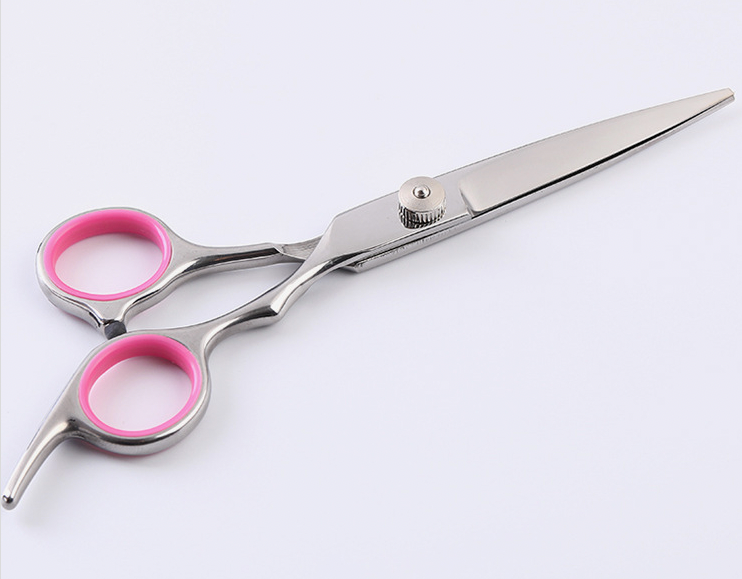 Dog Grooming Scissors Kit — Straight, Curved, Thinning + Comb