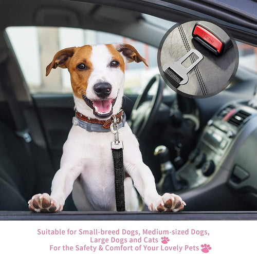 Car Safety Belt — 2 Pack