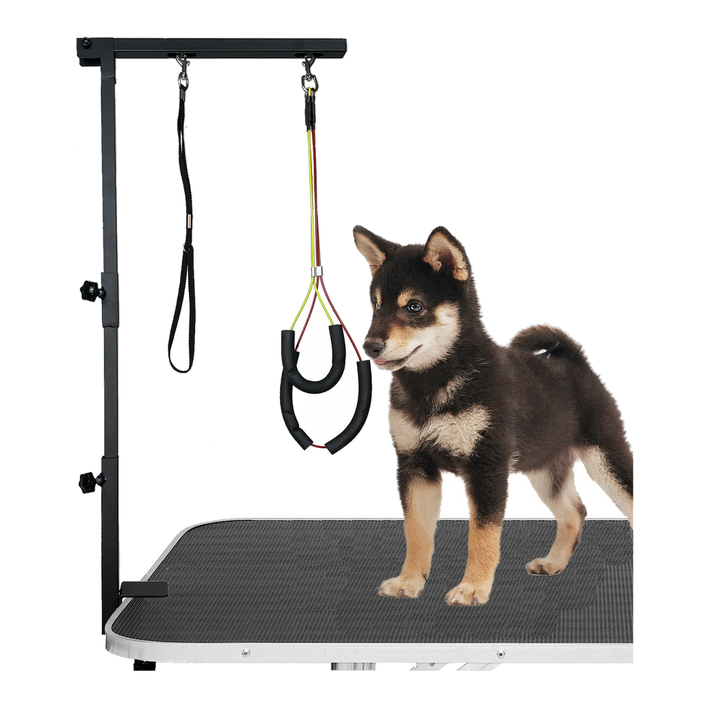 Floof Shop grooming arm clamped to a table, holding a dog
