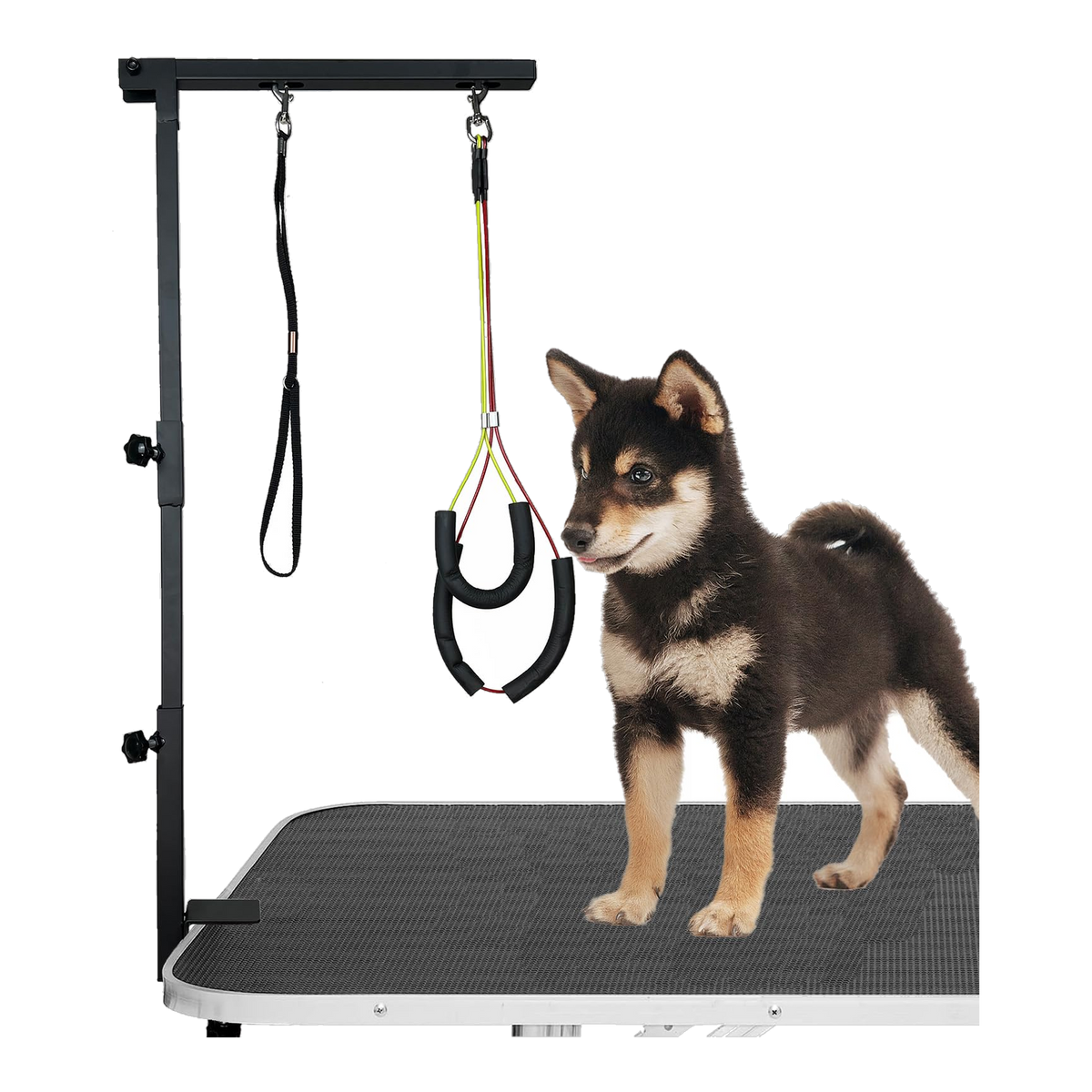 Floof Shop grooming arm clamped to a table, holding a dog