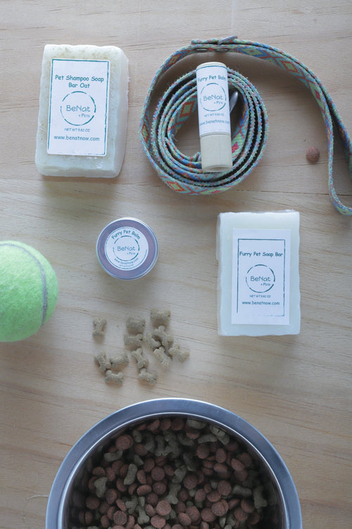 Pet soap bar shown in hand