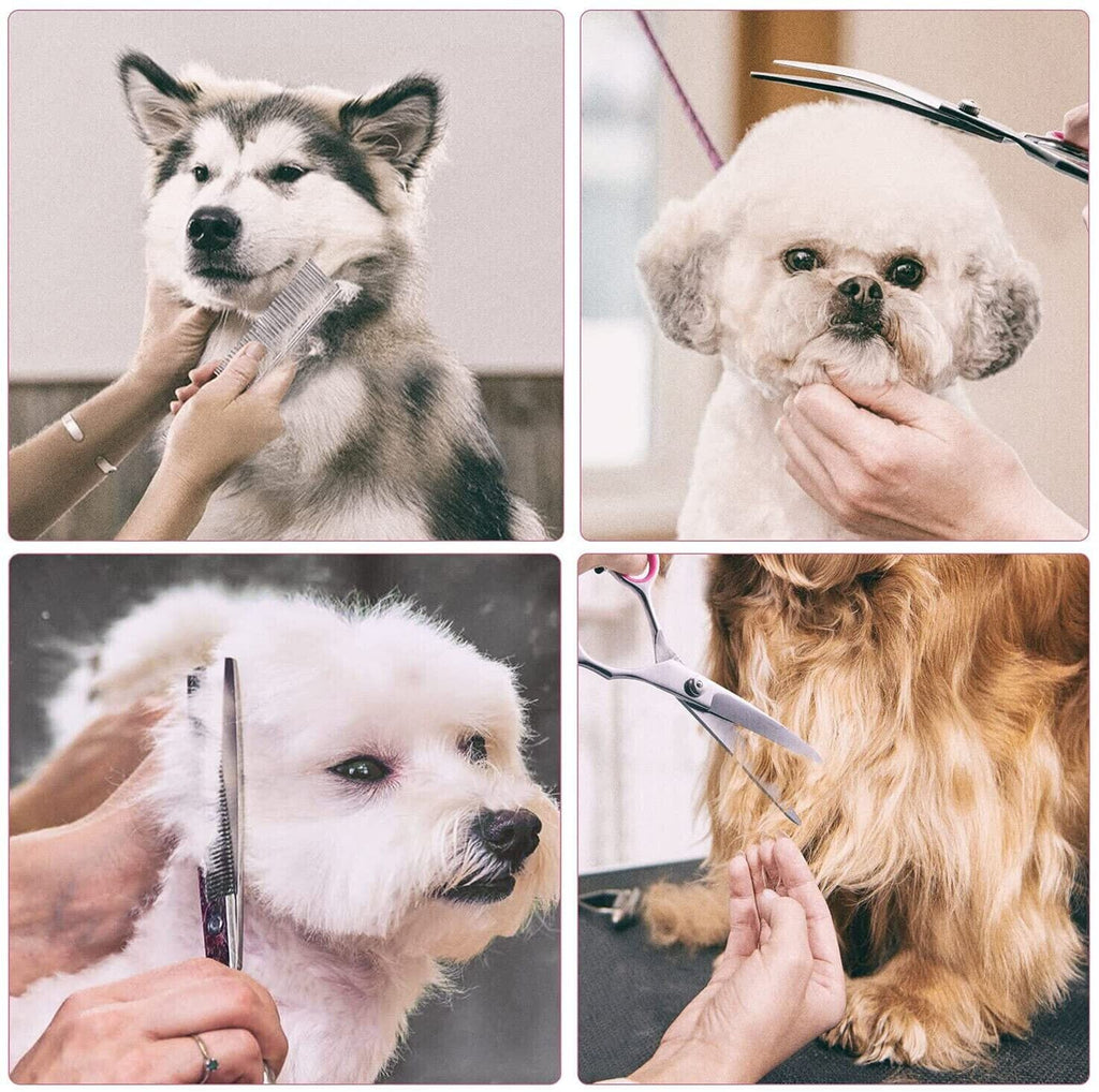 Dog Grooming Scissors Kit — Straight, Curved, Thinning + Comb